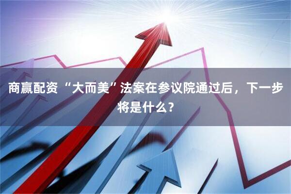 商赢配资 “大而美”法案在参议院通过后，下一步将是什么？
