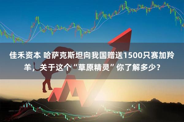 佳禾资本 哈萨克斯坦向我国赠送1500只赛加羚羊，关于这个“草原精灵”你了解多少？