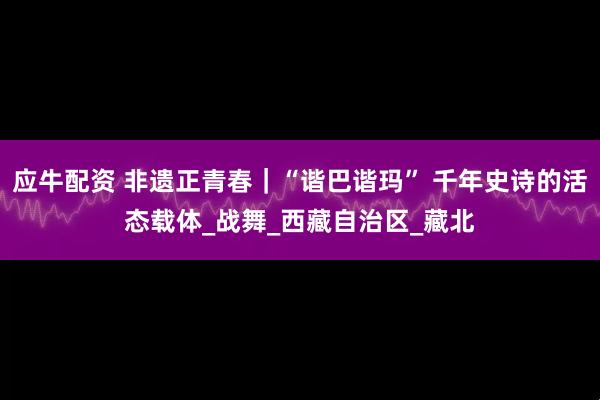 应牛配资 非遗正青春｜“谐巴谐玛” 千年史诗的活态载体_战舞_西藏自治区_藏北