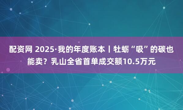 配资网 2025·我的年度账本丨牡蛎“吸”的碳也能卖？乳山全省首单成交额10.5万元